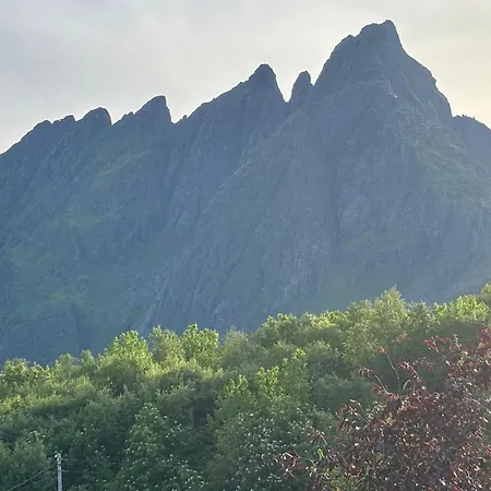 Cosy In The Heart Of Lofoten *