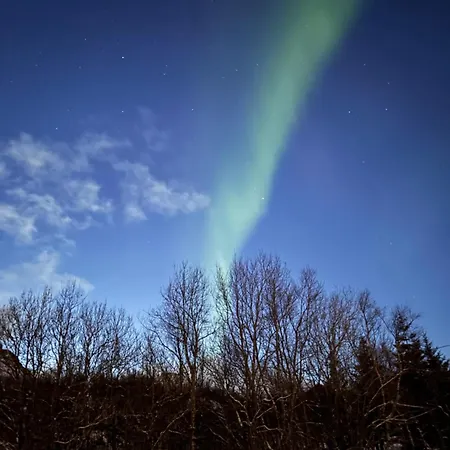 아파트 Cosy In The Heart Of Lofoten